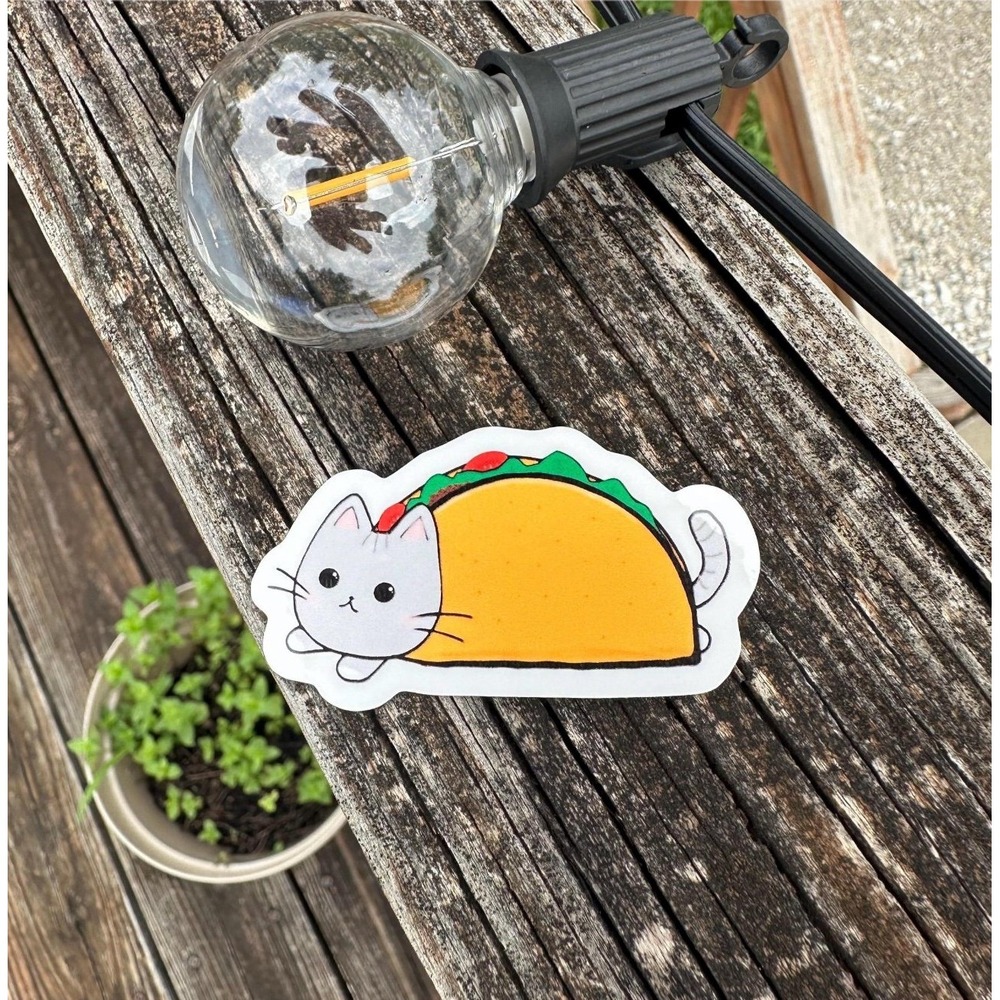 Taco Cat Sticker, Tacocat Spelled Backwards‎ Is Tacocat, Palindrome Decal